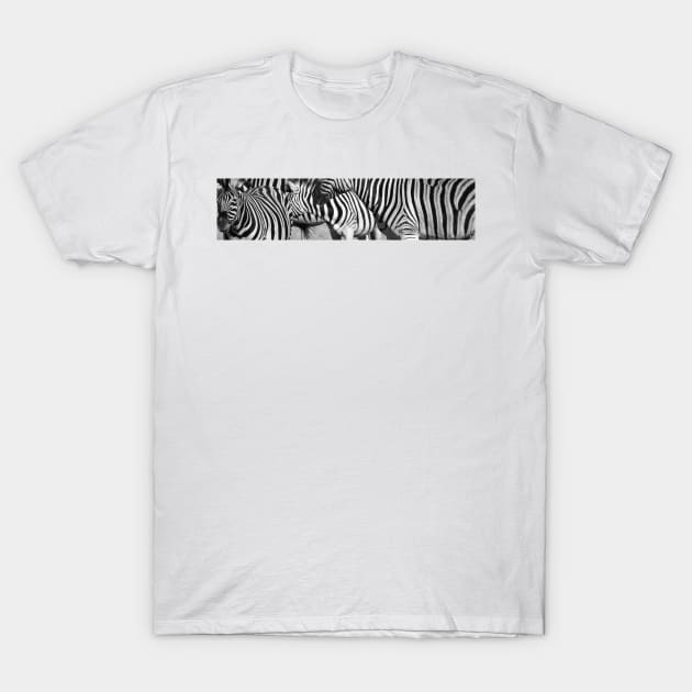 Photo-art zebra  stripes in oblong T-Shirt by brians101